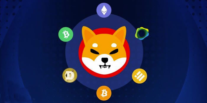 柴犬SHIB长期持有逻辑何在，小额投资如何布局？