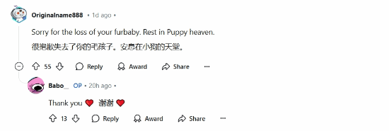 玩家在《怪物獵人》中寄托對寵物的思念之情宣傳圖3