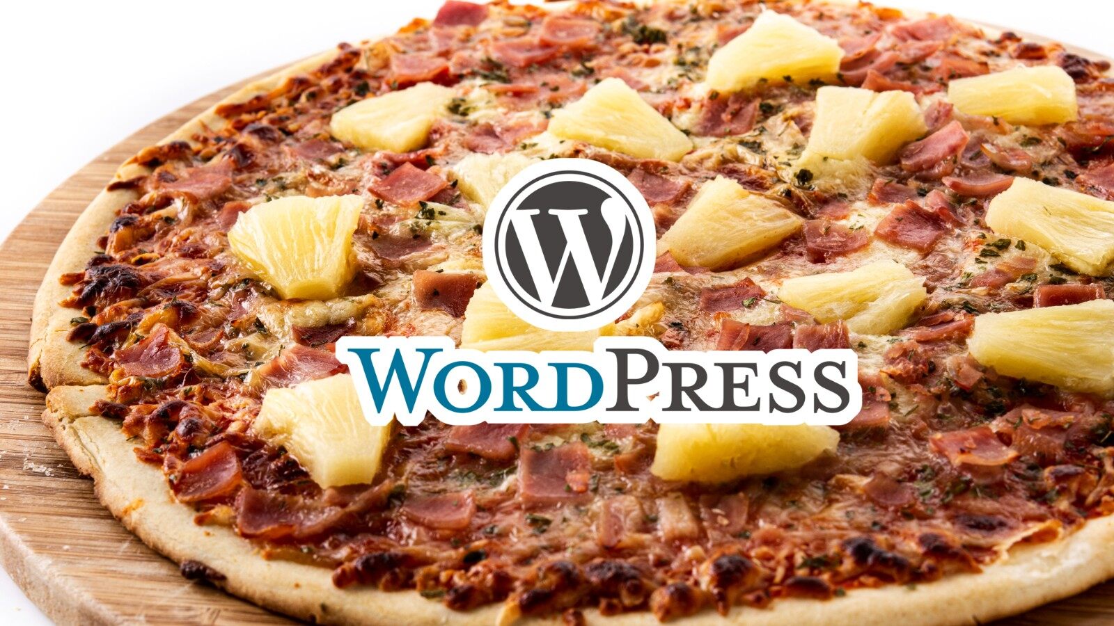 77 樂園游趣聞：WordPress與WP Engine廣告糾紛，WP Engine勝訴