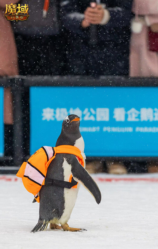 魔域聯(lián)動(dòng)淘學(xué)企鵝，冰雪魔幻新體驗(yàn)！宣傳圖3