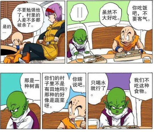 《七龍珠》丹迪地球之旅：那美克星難民的文化碰撞與融合宣傳圖4
