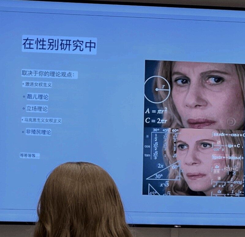瑞典留學(xué)生分享課件引爭議，涉DEI內(nèi)容遭校方警告宣傳圖4