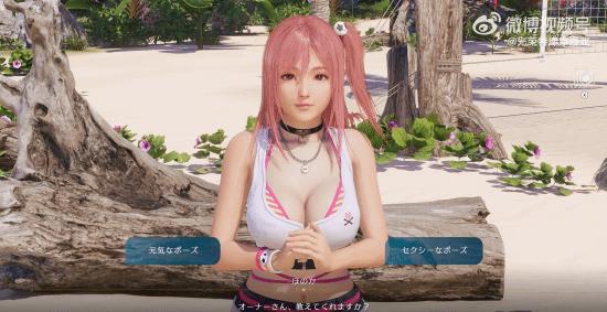《死或生：維納斯璀璨假期》新玩法曝光，3月27日發(fā)售宣傳圖2