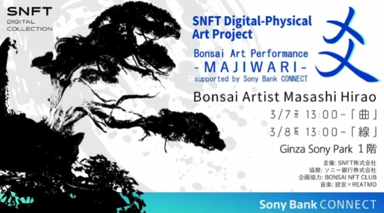 索尼推出NFT系列“SNFT”，攜手藝術(shù)家推出盆景NFT