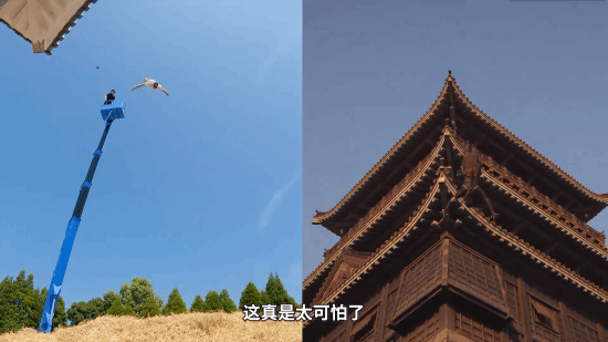 《刺客信條：影》跑酷照進(jìn)現(xiàn)實，Dom Di Tommaso挑戰(zhàn)極限宣傳圖2