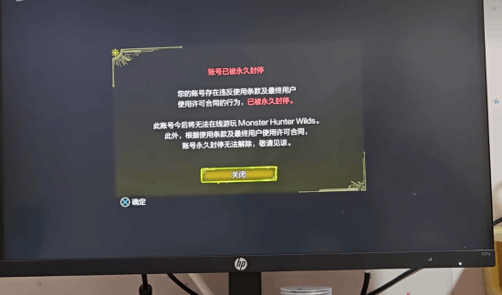 《怪物獵人：荒野》MOD使用限制解析：卡普空賬戶封禁政策與聯(lián)機(jī)風(fēng)險(xiǎn)警示