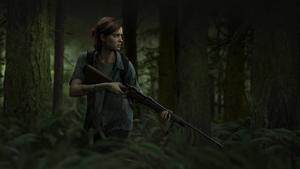 《最后生还者第二部重制版》DLSS4技术解析与RTX 5080显卡性能提升指南宣传图2