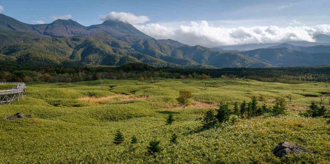 《羊蹄山之魂》北海道實地采風(fēng)與敘事設(shè)計解析：1603年阿伊努文明下的PS5開放世界新作