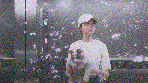 《inZOI》游戏困境分析:内容不足还是设计方向偏差?宣传图4 《inZOI》游戏困境分析:内容不足还是设计方向偏差?宣传图4