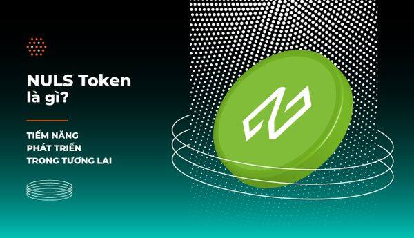 nuls-coin-nuls-la-gi-tiem-nang-phat-trien-trong-tuong-lai.jpg