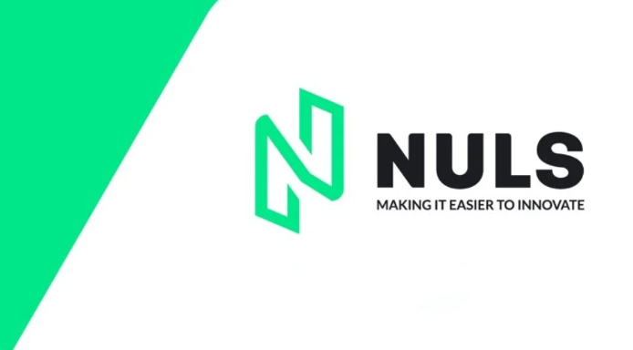 nuls币是国产币吗，nuls币是不是国产币？