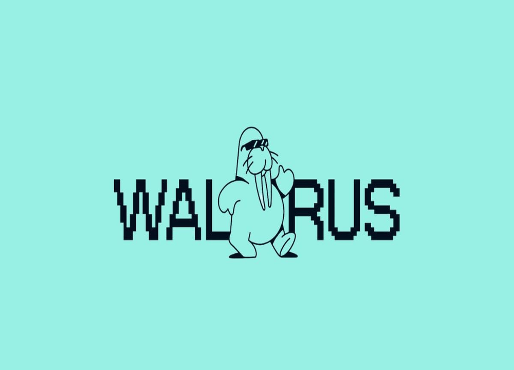 wal币升值空间大吗？wal币未来价值预估