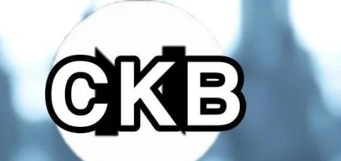 ckb币是什么，ckb币是主流币吗？