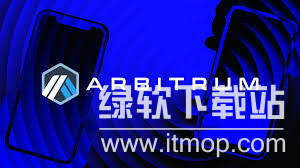 公链币是什么意思,arb币是公链吗?