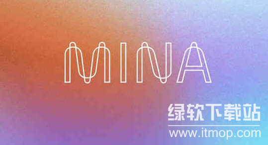 mina币是什么,mina币是哪个国家的?