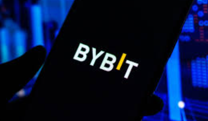 FireShot Capture 002 - Bybit - Google 搜索 - [www.google.com].png