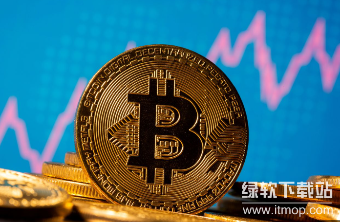 Nakamoto Company是什么?David Bailey创建Nakamoto Company目的