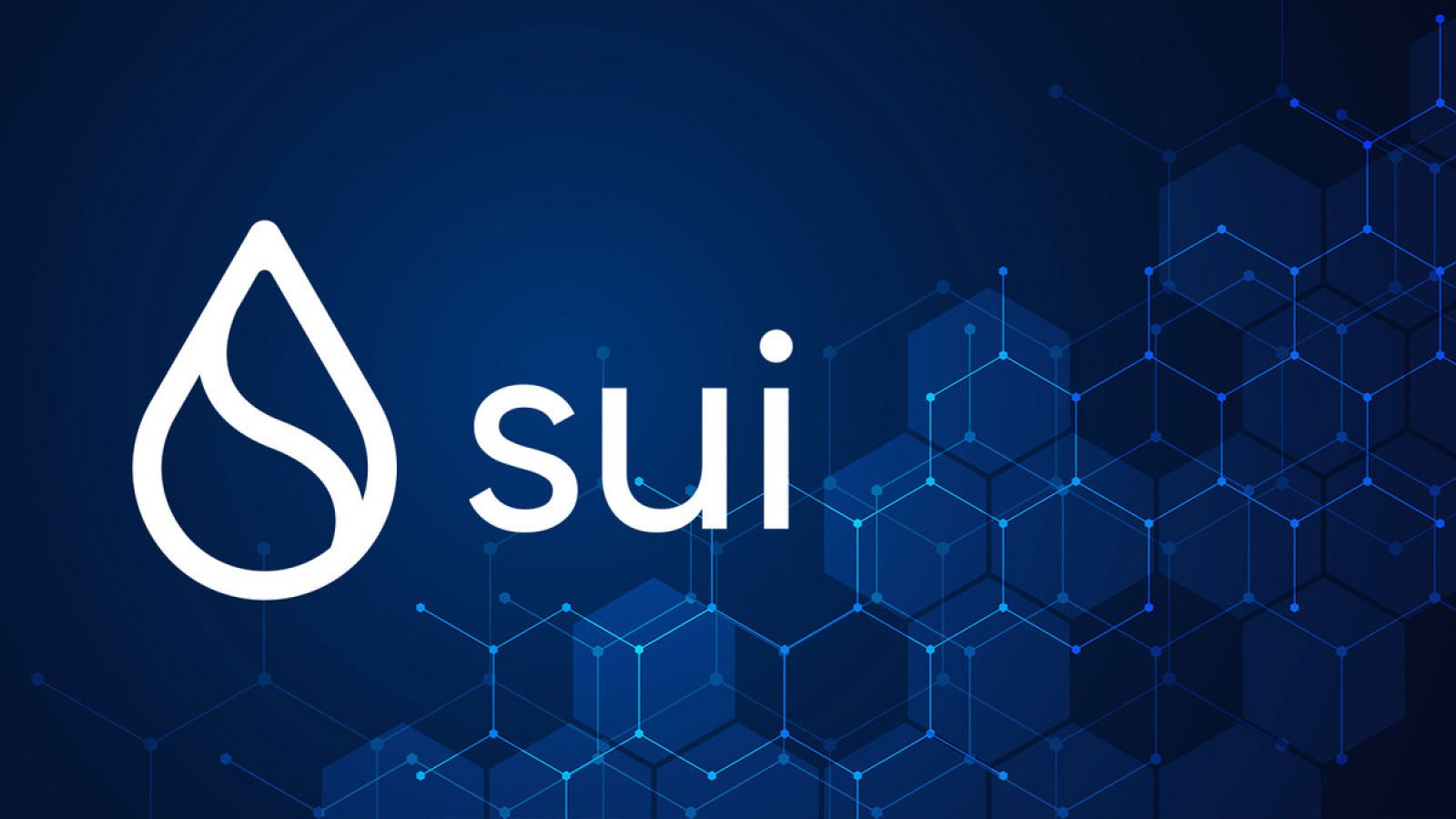 Sui-Network.png