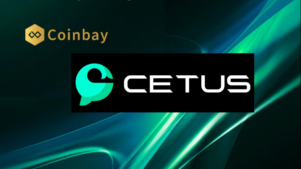 Cetus 安全事件频发，能带来哪些启示？