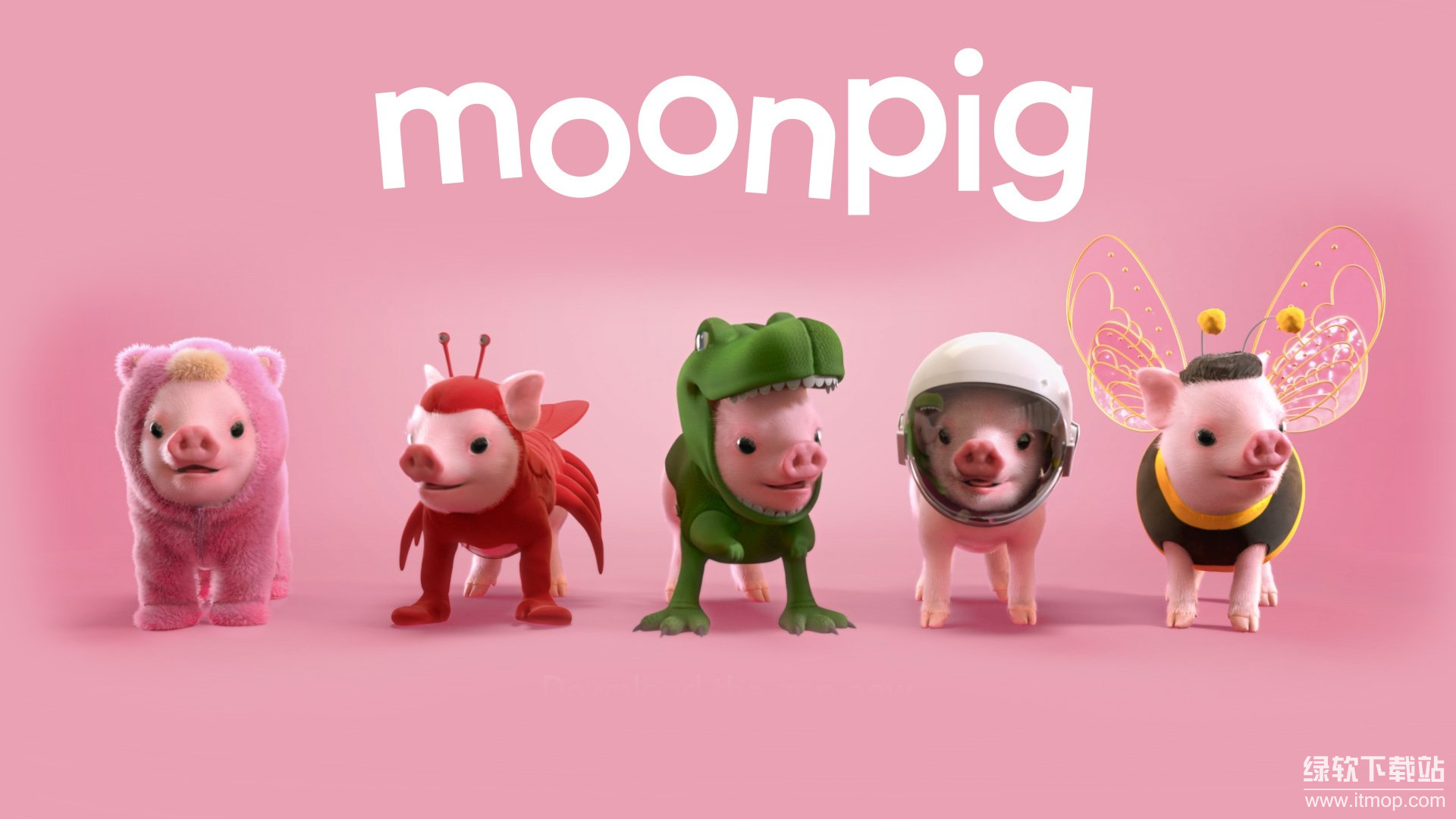 屏幕截图 2025-05-29 1003159.png