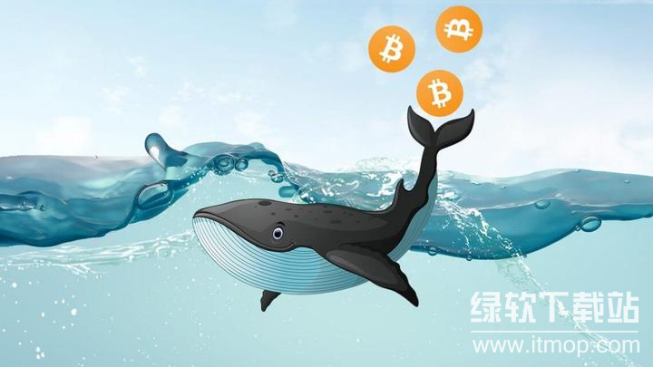 比特币鲸鱼停止做空,链上数据释放哪些市场信号?