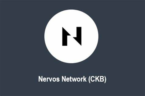 Nervos Network遭黑客攻击，跨链桥安全漏洞如何防范？