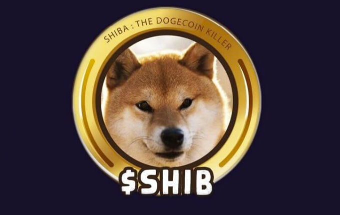 SHIB技术投资关键是什么？专家解读柴犬币复杂生态