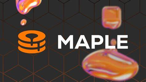 什么是Maple Finance，机构链上信贷规模为何突破127亿美元？