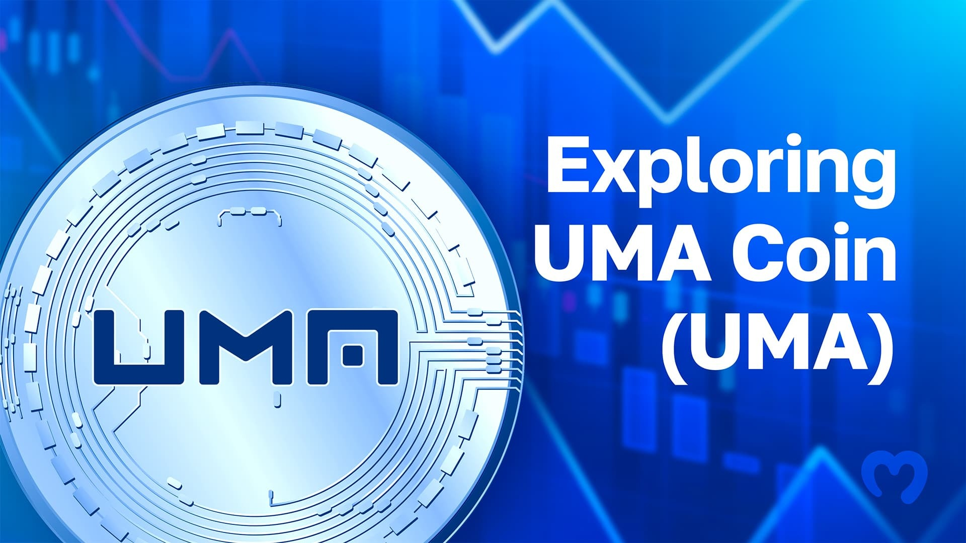 UMA短期突破1.4美元，HTX交易所数据揭示何种趋势？