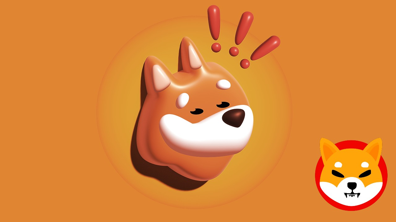 BONK价格上涨7%，鲸鱼积累与现货买盘如何形成合力？