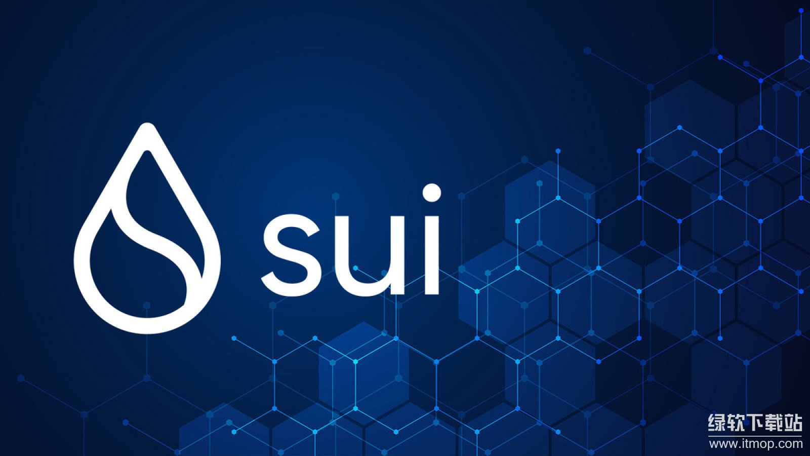 Sui Network链上活跃但价格滞后,估值与基本面为何背离?