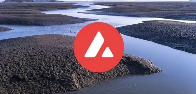 AVAX是什么加密货币，AVAX与以太坊有关吗？