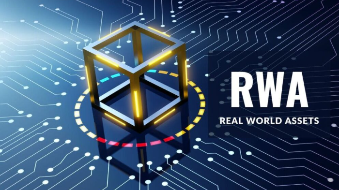 RWA是哪种国家货币？现实世界资产代币化如何定义
