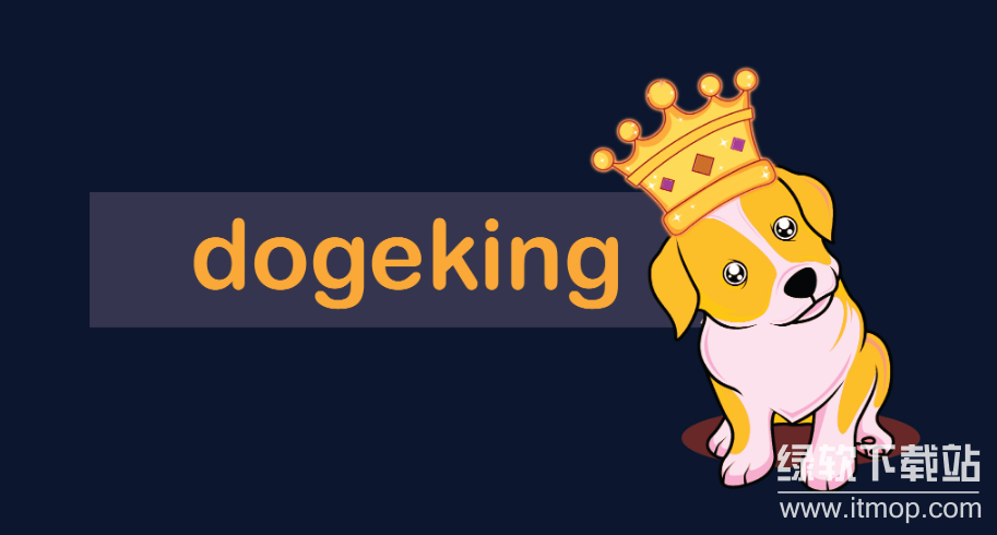 dogeking最高涨了多少倍?dogeking历史最高价格说明