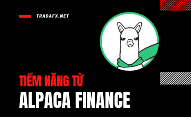 AlPACA币表现如何？是否有潜力？