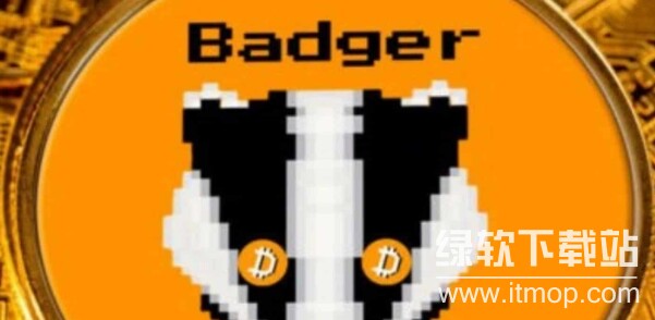 BADGER币属于哪种协议?由哪个团队发行?
