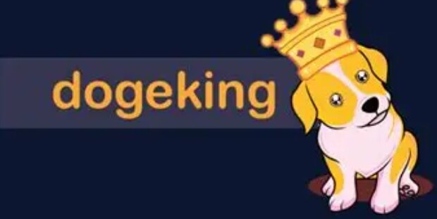 <font color='red'>doge</font>king币全球排名第几位？<font color='red'>doge</font>king币全球排名榜汇总