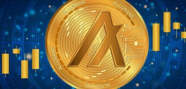 ALGO币为何一直跌？是否有救？