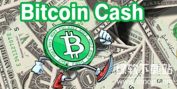 BCH本质是什么币种?长期持有价值如何?