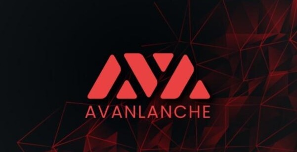 ‌AVAX中文名是什么？各国监管态度是否支持？‌