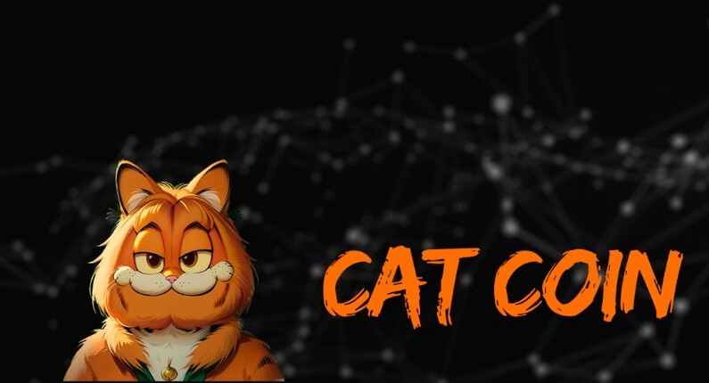 ‌CAT币本质是什么？发行方所属国家是哪里？‌