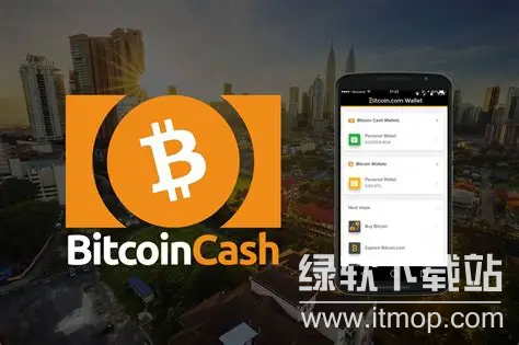 BCH币2025前景?未来价值潜力多大?