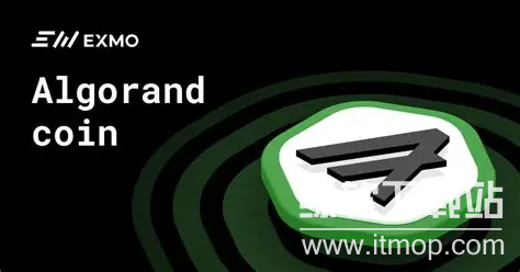 ALGO币2025前景如何?市场分析更新?