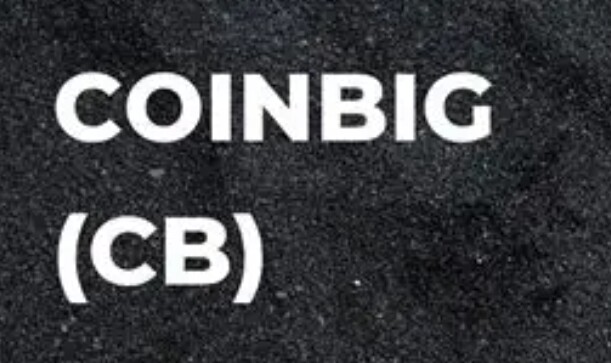 ‌Coinbig是什么交易所？是否属于国际平台？‌