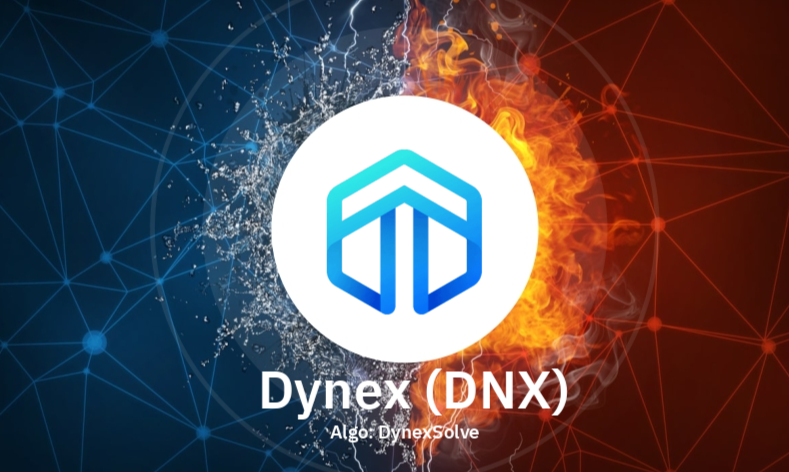 ‌DNX（Dynex）币的发行方是谁？来源国家是？‌