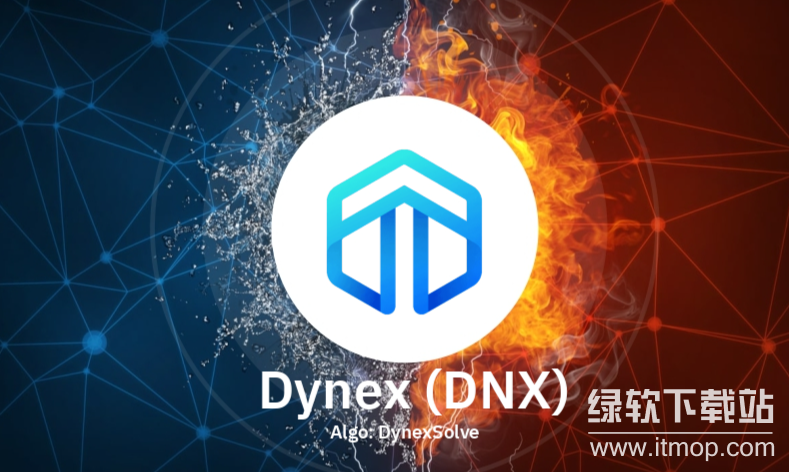 DNX(Dynex)币的发行方是谁?来源国家是?