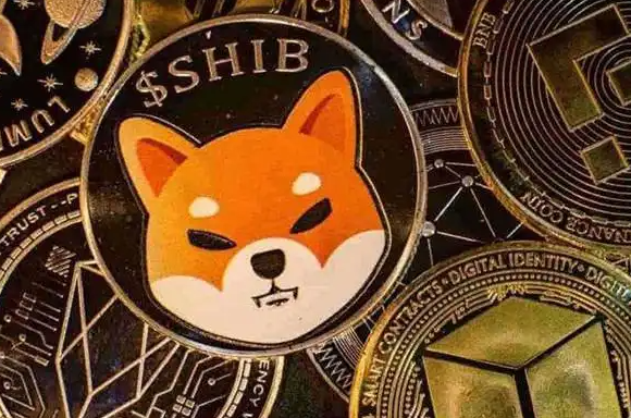 shib币适合长期持有吗，投资风险与收益怎样？