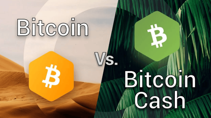 比特币现金和比特币有何关系，两者投资价值有何差异？