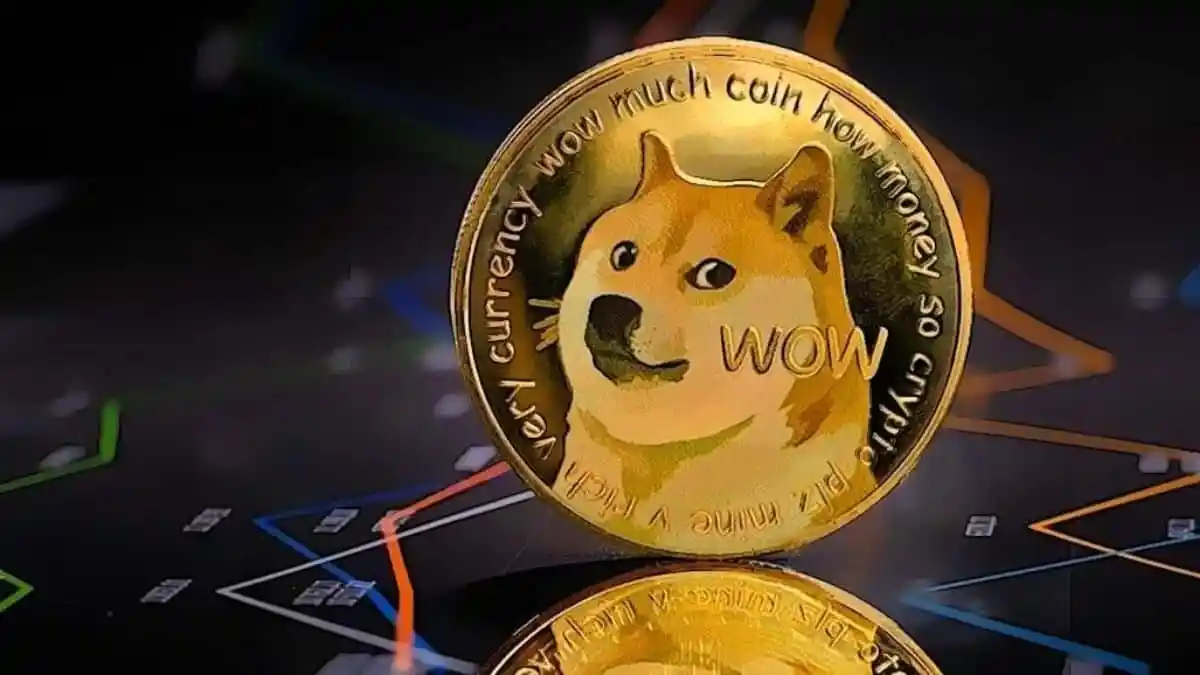 DOGECOIN本质是什么？是否为公链项目？‌