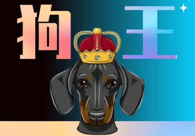 ‌Dogeking定义为何？属于何种加密货币？‌